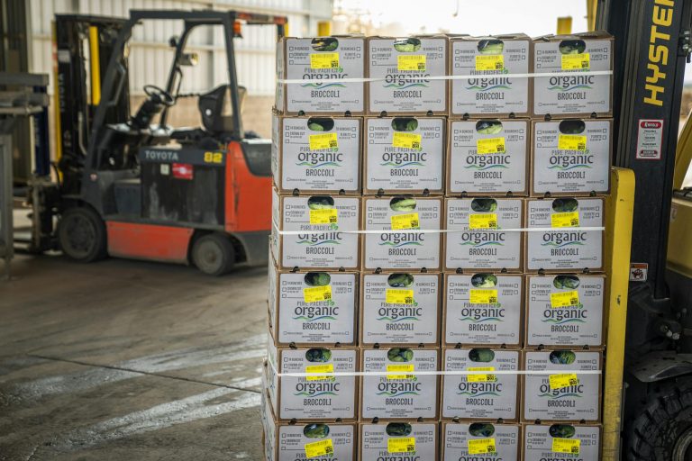 Forklift managing stacks of organic broccoli boxes for shipment in a warehouse setting.